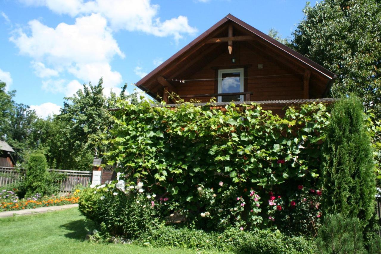 Krokus House Verkhovyna Εξωτερικό φωτογραφία